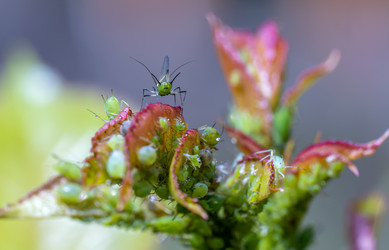 Similar image 21441593