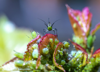 Similar image 21441594