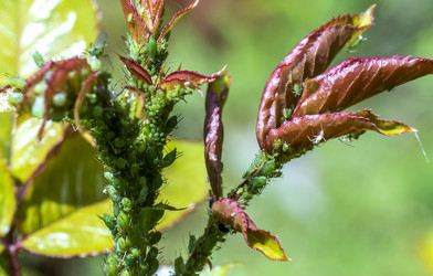 Similar image 21441596