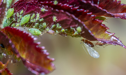 Similar image 21441597