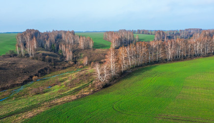 Similar image 21441600