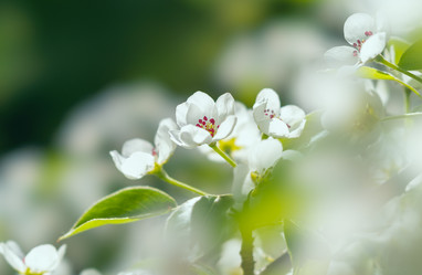 Similar image 21441607