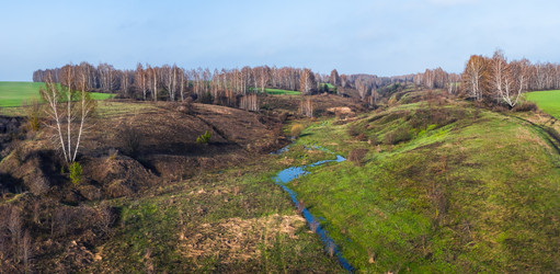 Similar image 21441608