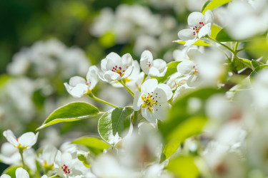 Similar image 21441612