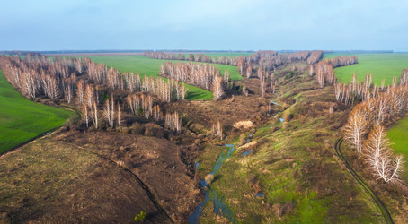 Similar image 21441614