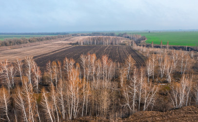 Similar image 21441616