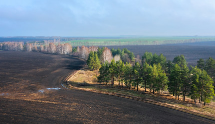 Similar image 21441629