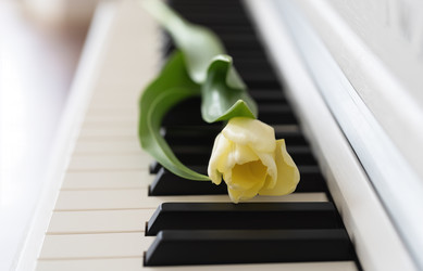 Similar image 21441814