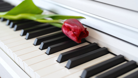 Similar image 21441815