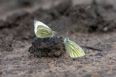 Similar image 21441816