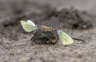 Similar image 21441817