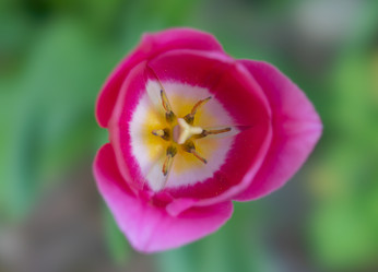 Similar image 21441821