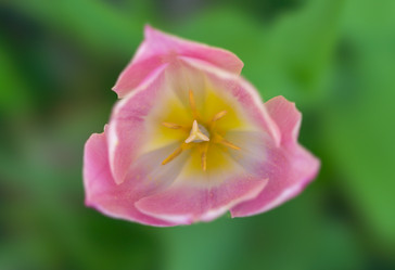 Similar image 21441822