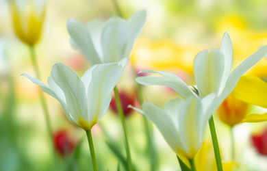 Similar image 21441823