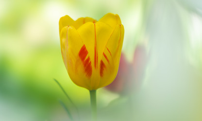 Similar image 21441824