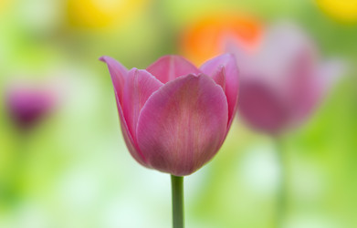 Similar image 21441826