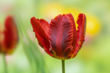 Similar image 21441828