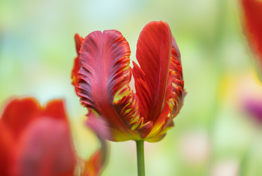 Similar image 21441829