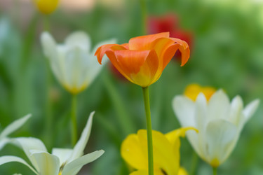 Similar image 21441831