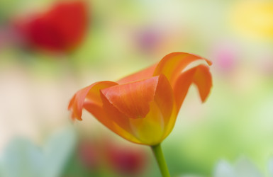 Similar image 21441832