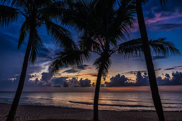 Similar image 21440057