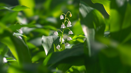 Similar image 21442319