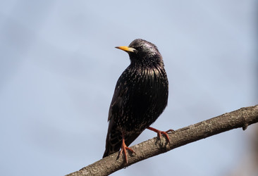 Similar image 21442320