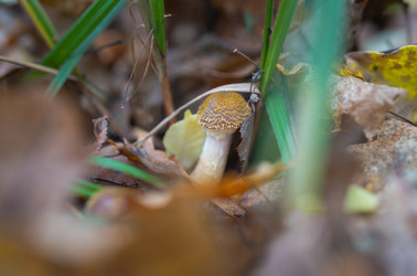 Similar image 21442321