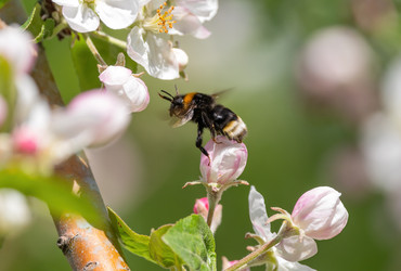 Similar image 21440953