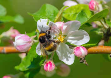 Similar image 21440954