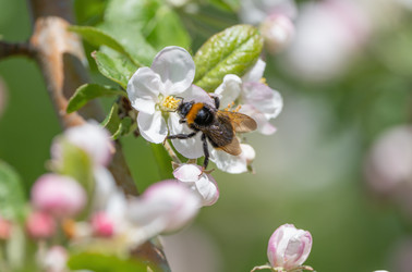 Similar image 21441598