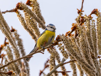 Similar image 21441601