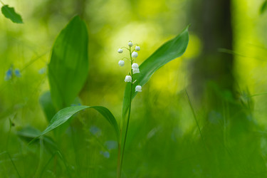 Similar image 21441603