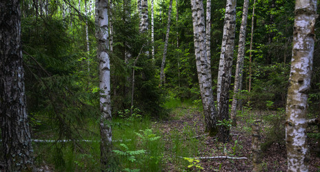 Similar image 21441606