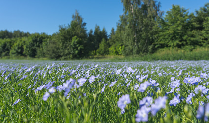 Similar image 21440972