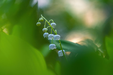 Similar image 21440973