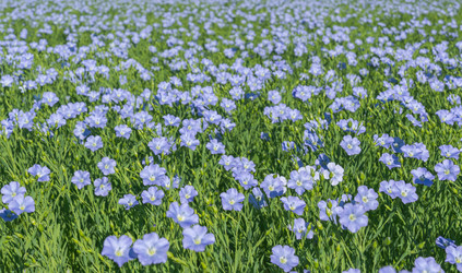 Similar image 21440974