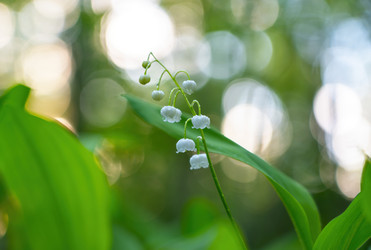 Similar image 21440975