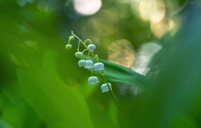 Similar image 21440993