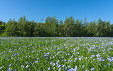 Similar image 21440995