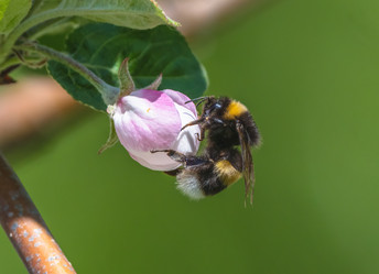 Similar image 21441016