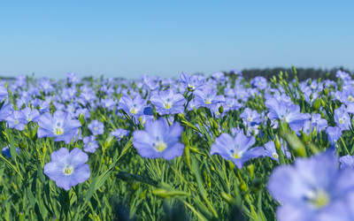 Similar image 21441017