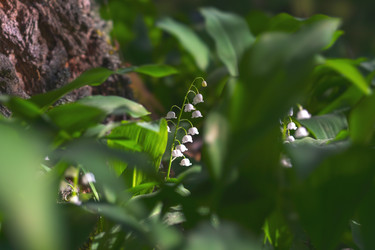 Similar image 21441019