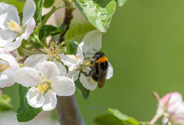 Similar image 21441020