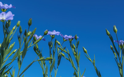 Similar image 21441028