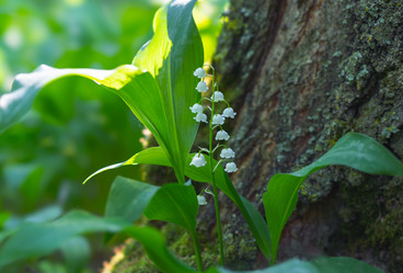 Similar image 21441029