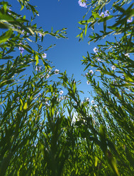 Similar image 21441030