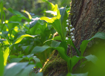 Similar image 21441031