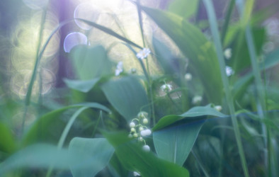 Similar image 21441033