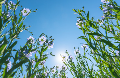 Similar image 21441034